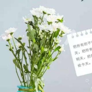 师父分享妙药