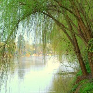 《在清水河畔听雨》