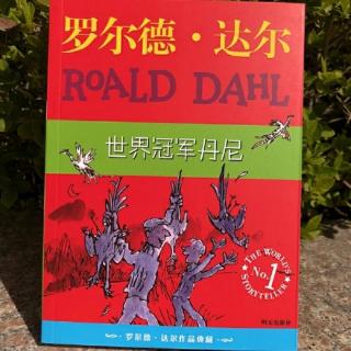 《世界冠军丹尼》第204页— —第269页