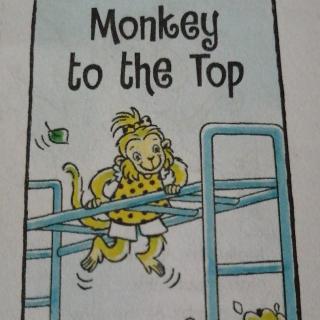 Monkey to the Top