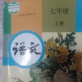 七年级 语文1～4课