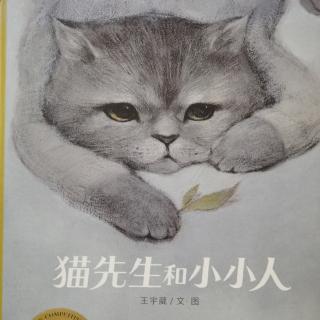 绘本《猫先生和小小人》