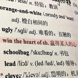 29课读两次加汉语