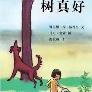 幼专幼儿园卫老师讲故事