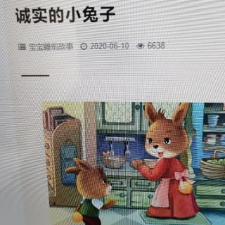 诚实的小兔子