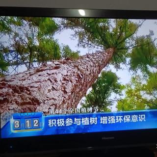 白门柳第二部秋露危城第四章7和8及点评