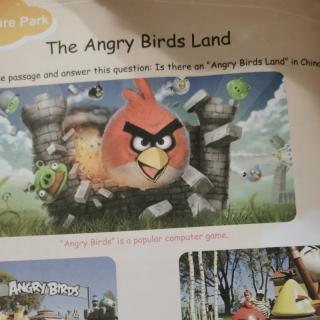 The angry birds land