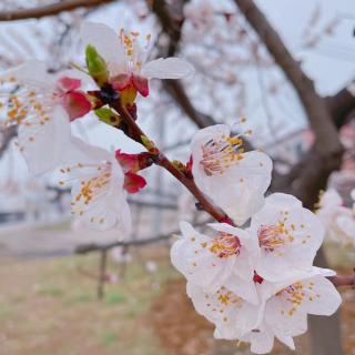 《学习高手》第二章12 写作入门2