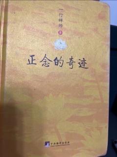 正念的奇迹：卫士、猴子与他（它）的影子（以心观心）