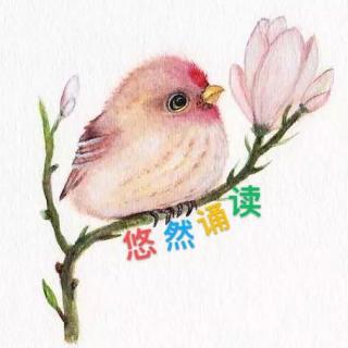 细节中的幸福（讲述：灵听 孙艺 唐婉迪）