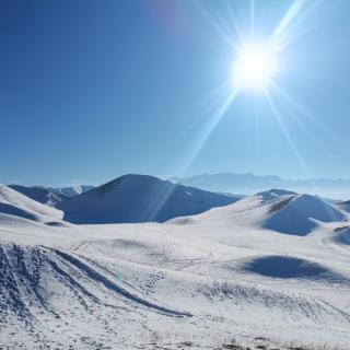 菊舞冰心《那场雪，清浅了岁月》诵读：笑颜