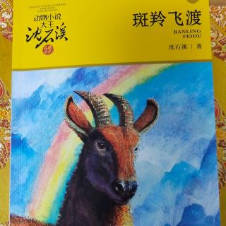 9沈石溪动物小说之《红奶羊》