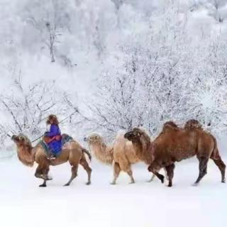 谢洪武《融雪的达因苏》诵读：笑颜