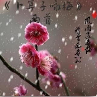 《卜算子•咏梅》陆/毛|芳菲朗诵