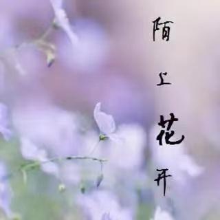 陌上花开