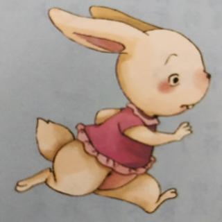 “晚安电台”第274期《爱吹牛的兔子🐰》