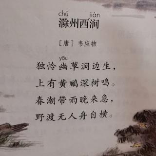 《滁州西涧》【唐】韦应物