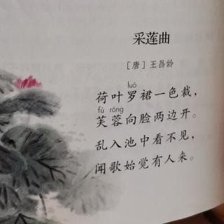 《采莲曲》【唐】王昌龄