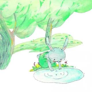 园长妈妈睡前故事《兔子和泉水》