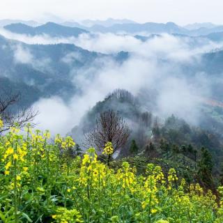 陈国庆：诸事留余地，盈满易招损