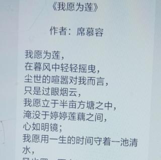 《我愿为莲》