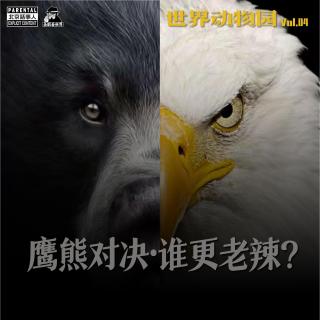 世界动物园 · 鹰熊对决·谁更老辣 · 圣眼看世界 - 北京话事人844