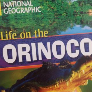 Life on the Orinoco by Darcy