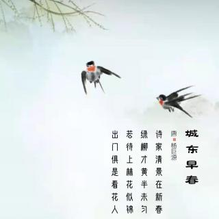 260.城东早春 杨巨源