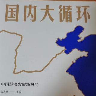 《国内大循环》158页-190页