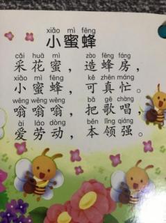 三字儿歌～小蜜蜂