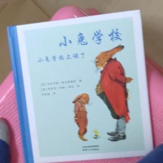 小兔学校