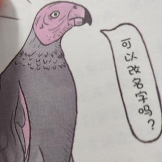 遗憾的进化88：秃头鹦鹉🦜