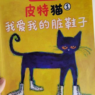 《我爱我的脏鞋子》皮特猫1