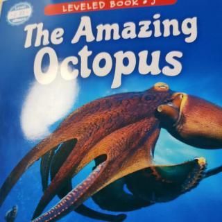 2022.3.19.raz.j.The  Amazing  Octopus