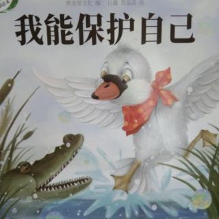 424《我能保护好自己》