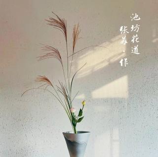 学插花