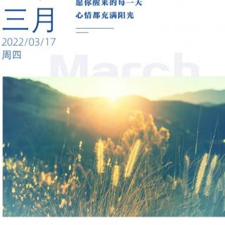 00040营养不足与过量