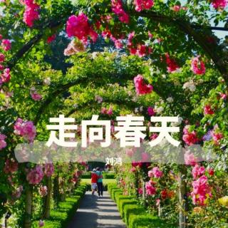 🎵走向春天/刘鸿