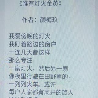 《灯火金黄》