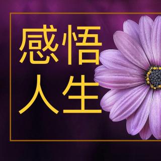 原创：我深爱的父亲母亲