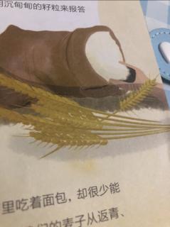 自由自在的风