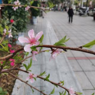 《物非我也，管它东西》