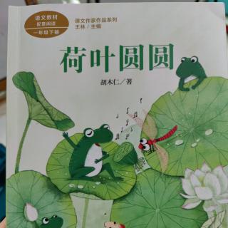 《荷叶圆圆》（二）