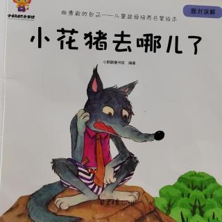 《小花猪去哪儿了》绘本故事