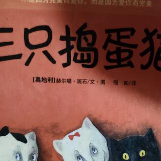 三只捣蛋猫