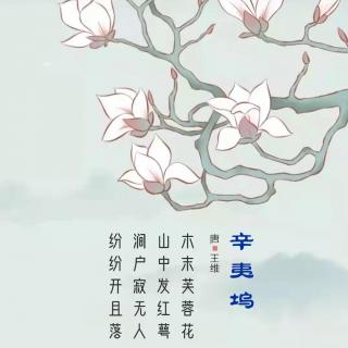 265.辛夷坞 王维