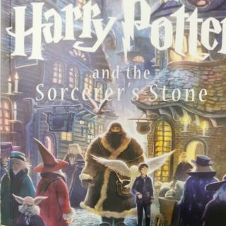 Harry Potter:5-Diagon Alley①