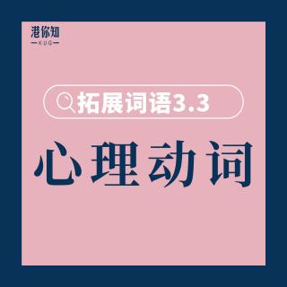 28. 拓展词语3.3（心理动词1） pg55