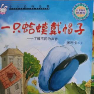 【迪宝教育•书香妈妈】睡前故事：《一只蛤蟆戴帽子》