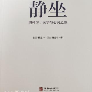 《静坐 9》杨定一 杨元宁